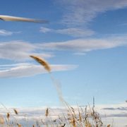 renewable energy