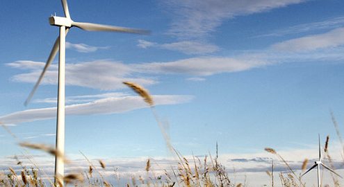 renewable energy