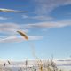 renewable energy